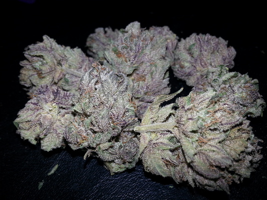 280_GDP mmj Picture.jpg